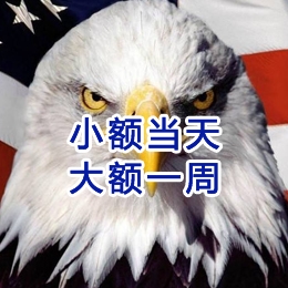 纳雍要账公司